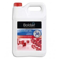 BOLDAIR Bidon 5 Litres 3D...